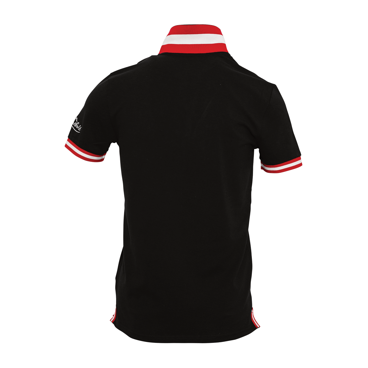 Österreich Polo hinten