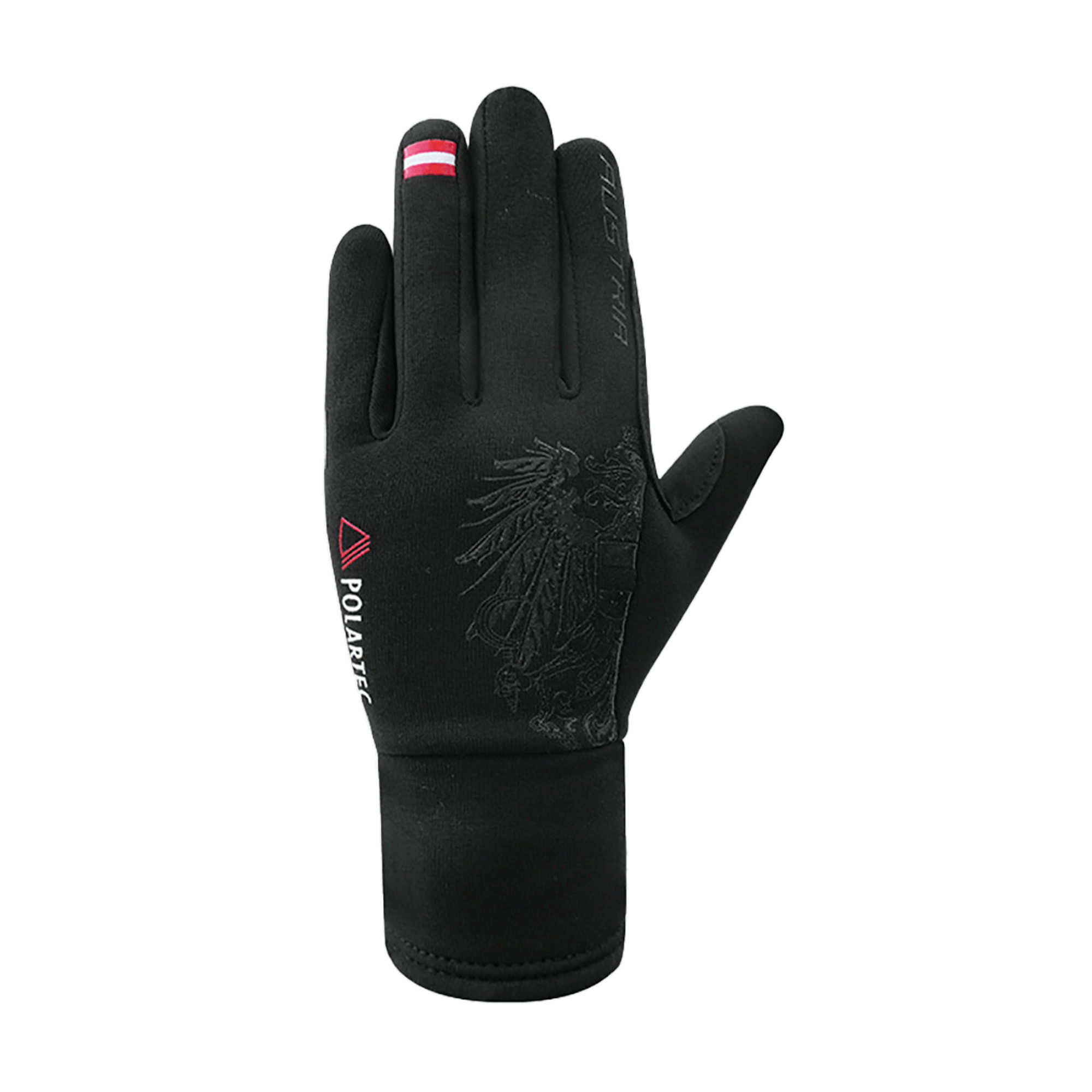 Austria Winter Handschuhe
