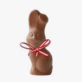 Schoko Osterhase