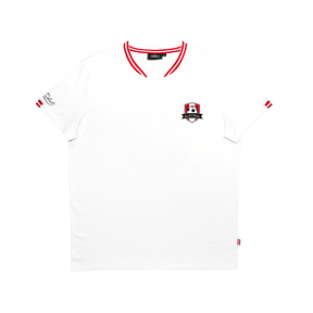 Herren Fan T-Shirt für Fußball EM Österreich